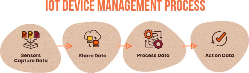 IoT device management process